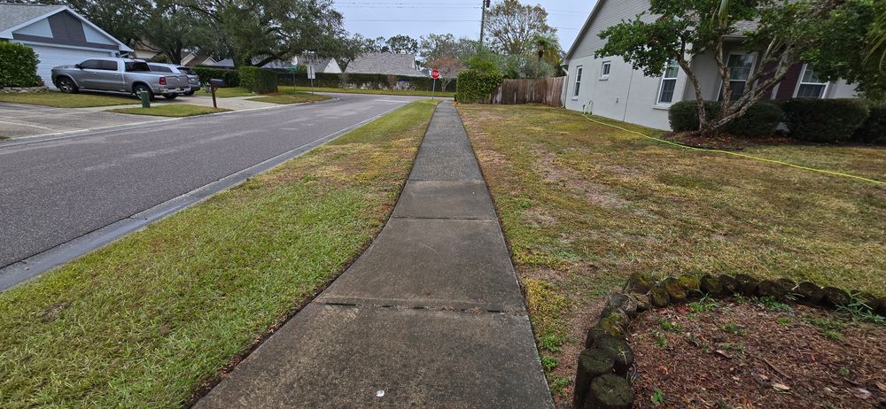 All Photos for Blue Stream Roof Cleaning & Pressure Washing in Tampa, FL