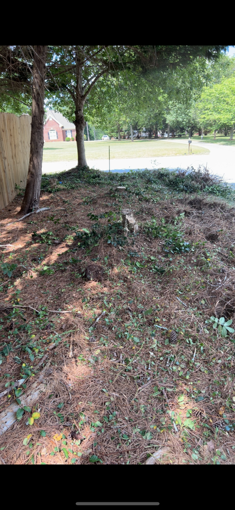 All Photos for WD Lawn Services in Loganville, GA