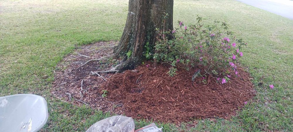 Enhance your garden's health and appearance with our professional mulch installation service, providing optimal moisture retention, weed reduction, and soil enhancement throughout your landscape for a thriving outdoor environment. for O'Donnell Tree and Handyman Services in Pine Ridge, FL