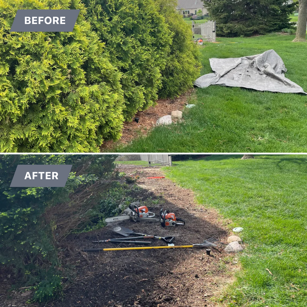 All Photos for MDR Landscaping in Urbana, IL