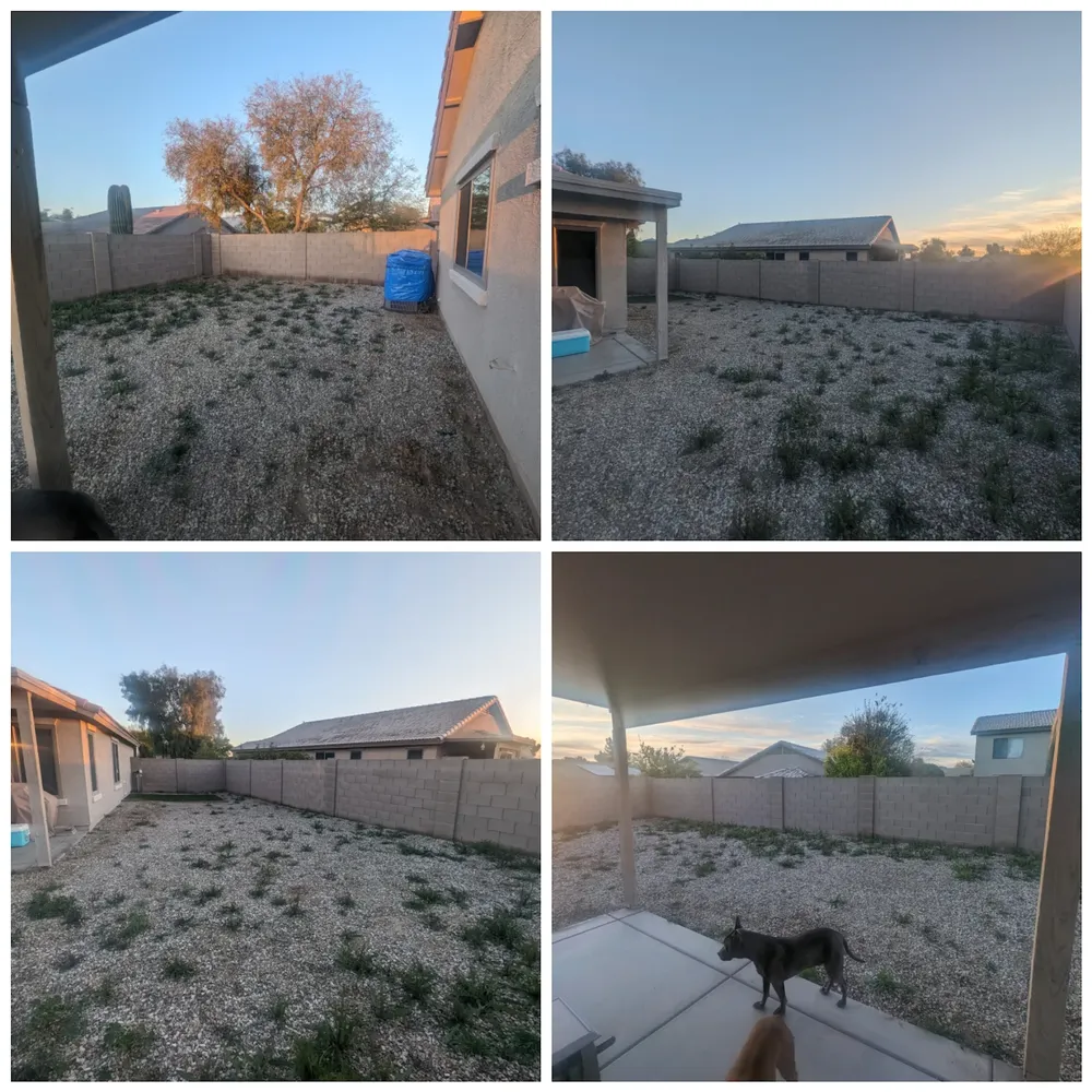 All Photos for Citiscapes, LLC in Phoenix, AZ