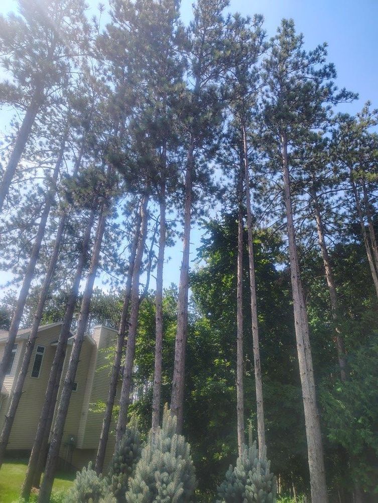 All Photos for Big River lawn Care services and snow LLC in Wausau, WI