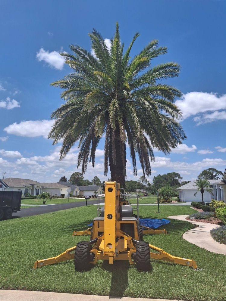 All Photos for Highlands Tree Service LLC in Avon Park, FL