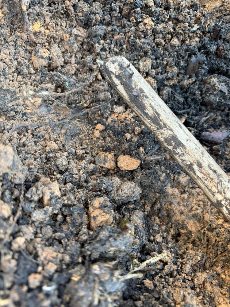 All Photos for Texas Curb N Borders in Houston, TX