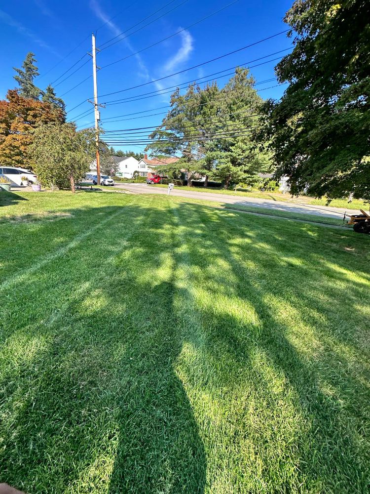 Our expert lawn maintenance service ensures a lush, healthy yard through regular mowing, fertilization, and weed control, enhancing your home's curb appeal and freeing up your time for relaxation. for LGZ Landscaping LLC in Belleville, NJ