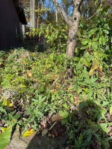 All Photos for Bearforce Lawn Care LLC in Greenfield, IN