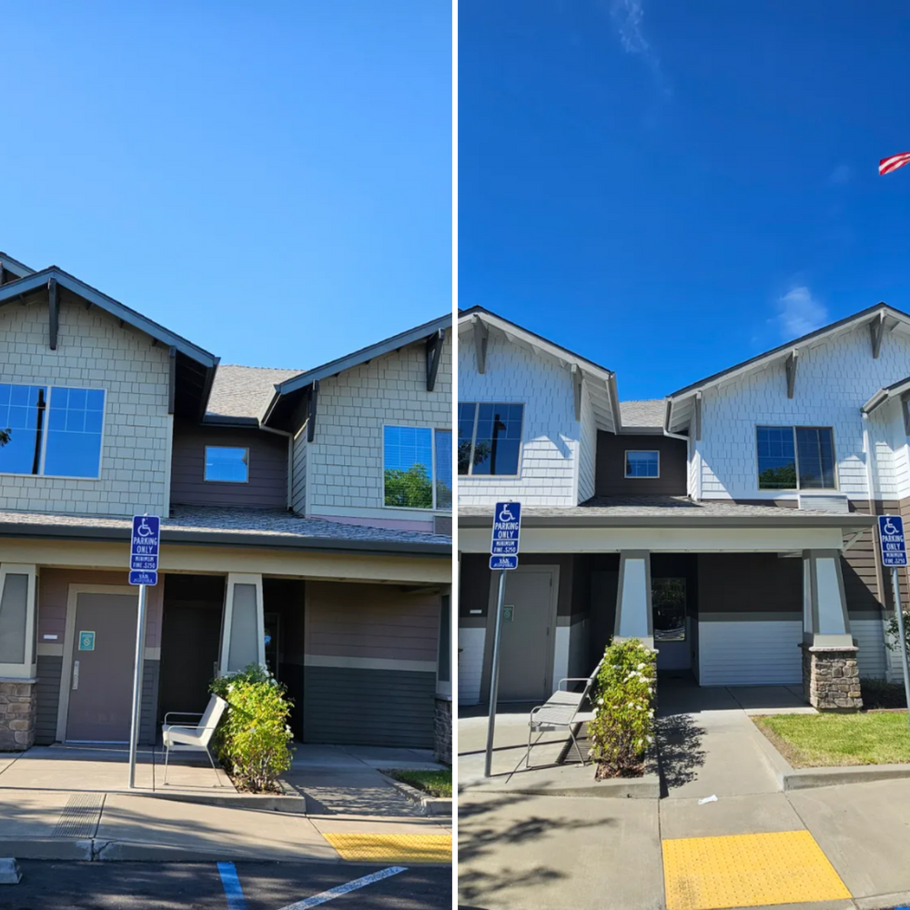 All Photos for The Painter in Citrus Heights, CA