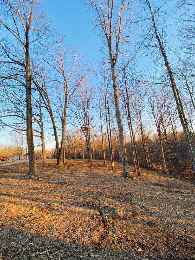 All Photos for Green Land Management in Mount Pleasant, TN