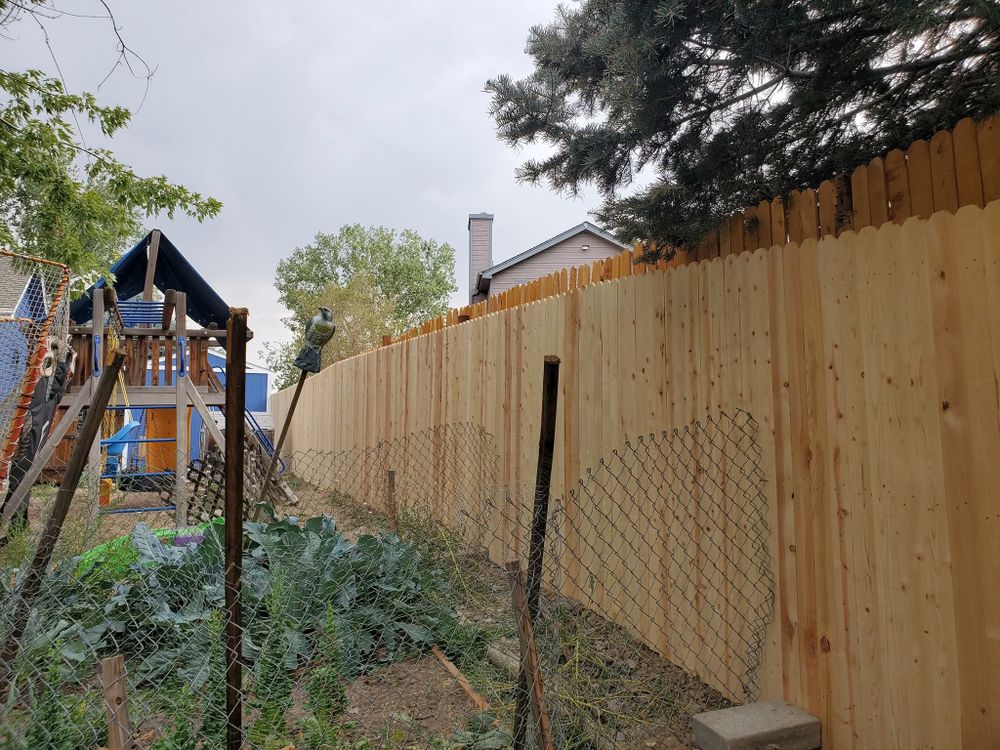 All Photos for Berry Handy Services in Loveland, CO