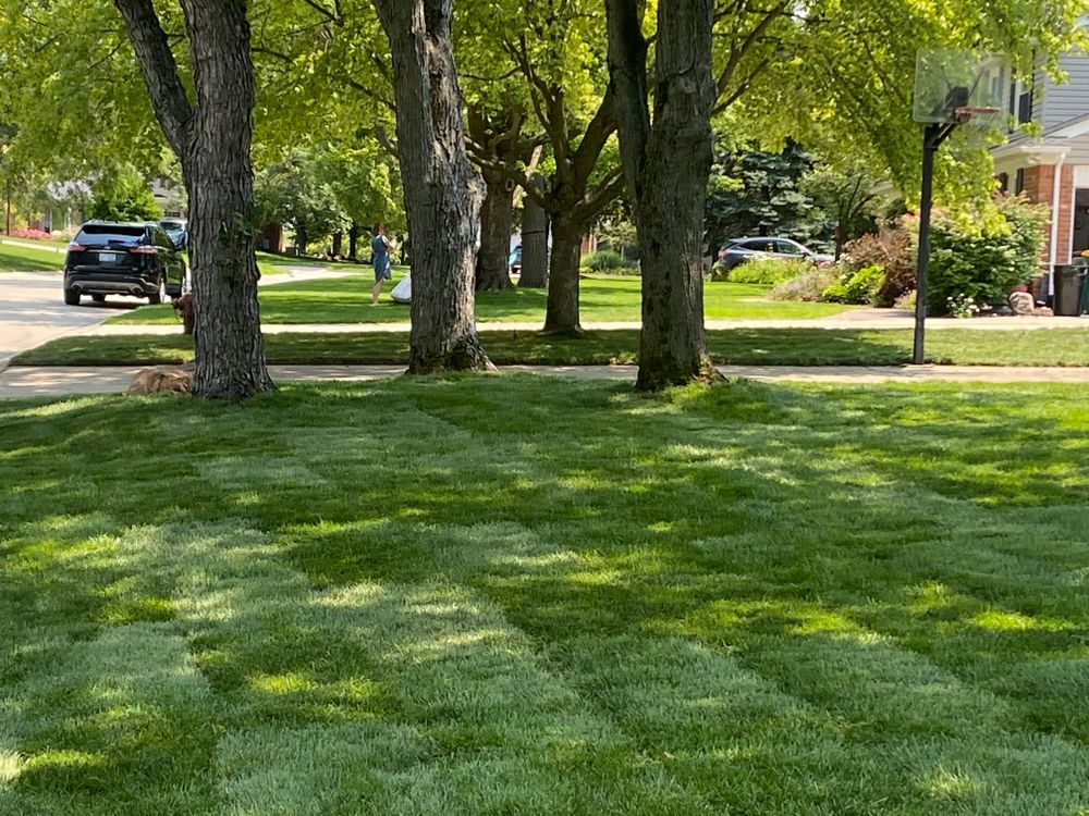 All Photos for Alltimate Outdoor Services in Warren, MI