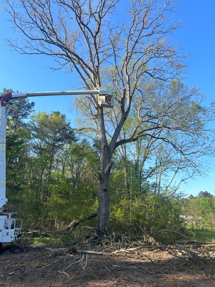 All Photos for Triple H Construction in Cave Spring, GA
