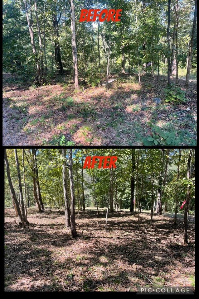 All Photos for Greenwood Lawn & Landscaping LLC in Talladega, Alabama