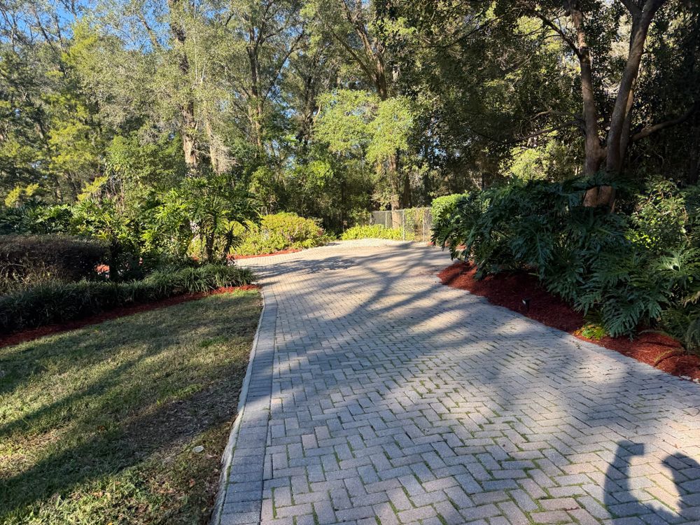 All Photos for Amerigrown Tree And Lawn in Apopka, FL