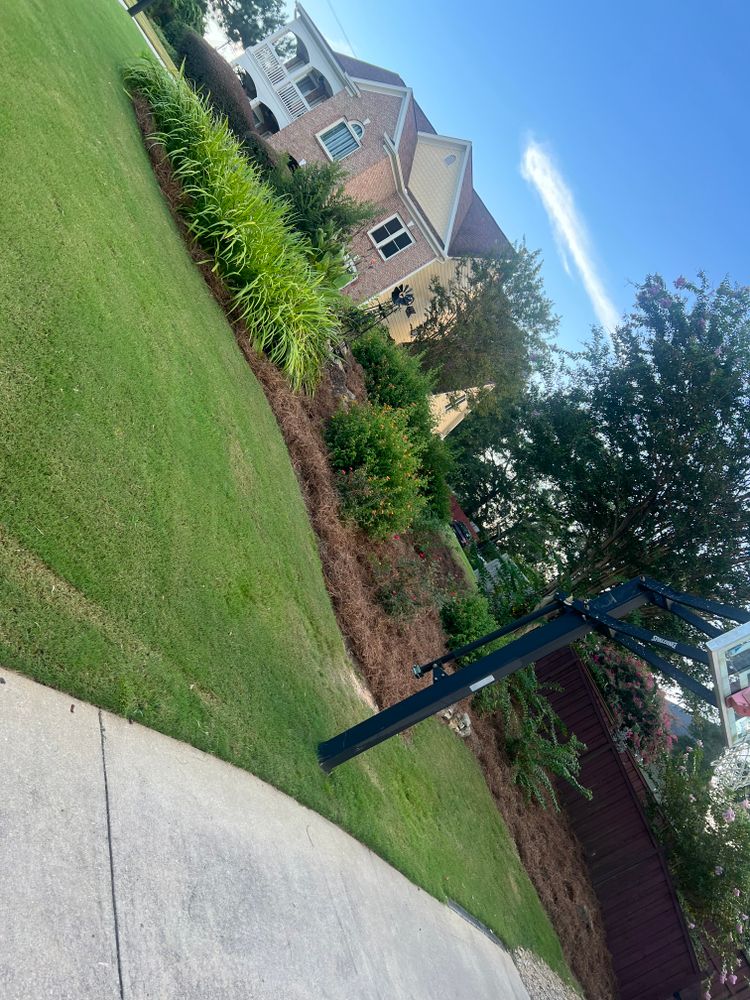 Lawn Maintenance for Adams Landscape Management Group LLC. in Loganville, GA