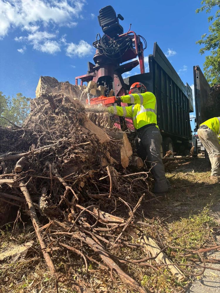 Clear Path Contracting & Services Inc. team in New Tazewell, TN - people or person