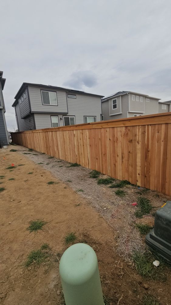 All Photos for NGL Landscape Company in Denver, CO
