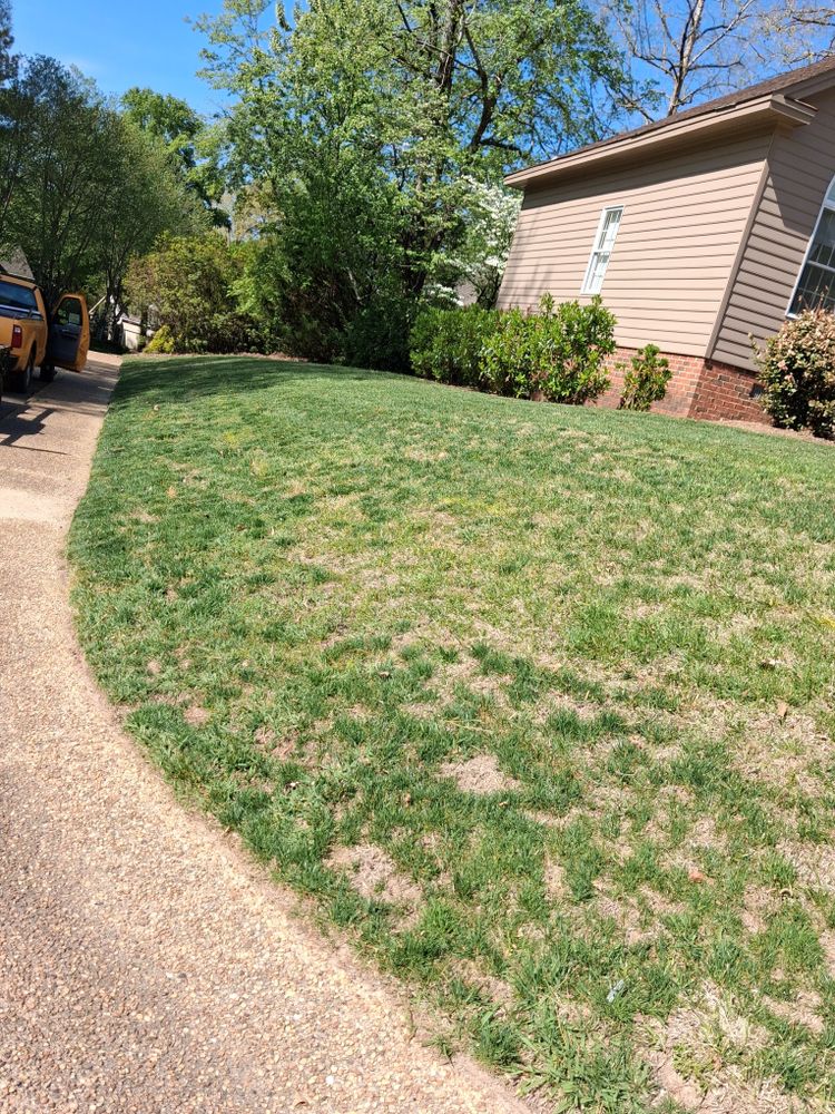 Tree Removal for Noel Velazquez Landscaping  in Williamsburg, VA
