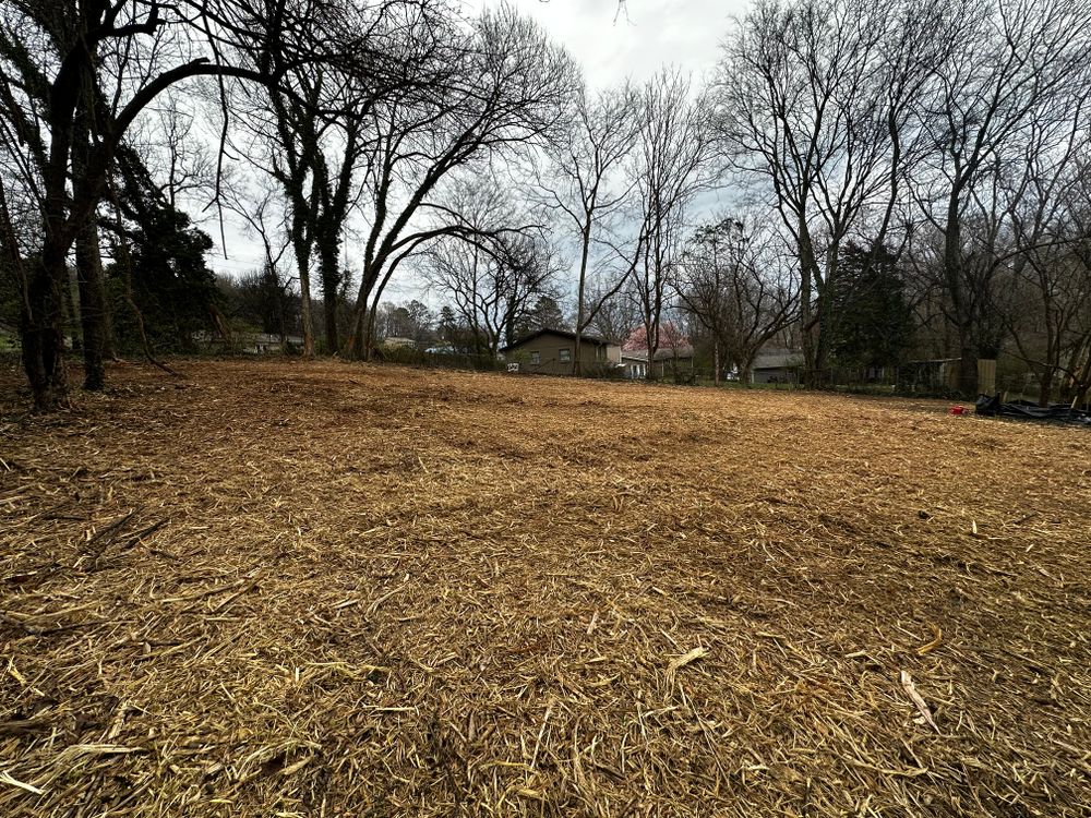 Clearing  for Holmes Septic Works LLC in Knoxville, TN 