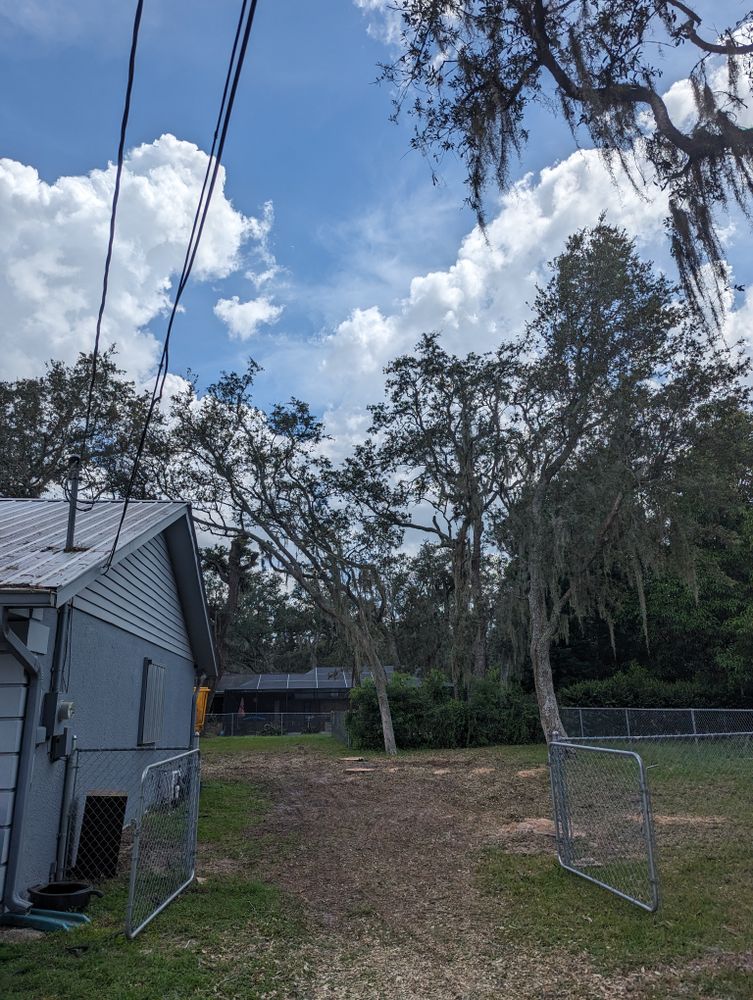 All Photos for Regal Tree Service and Stump Grinding in Wauchula, FL