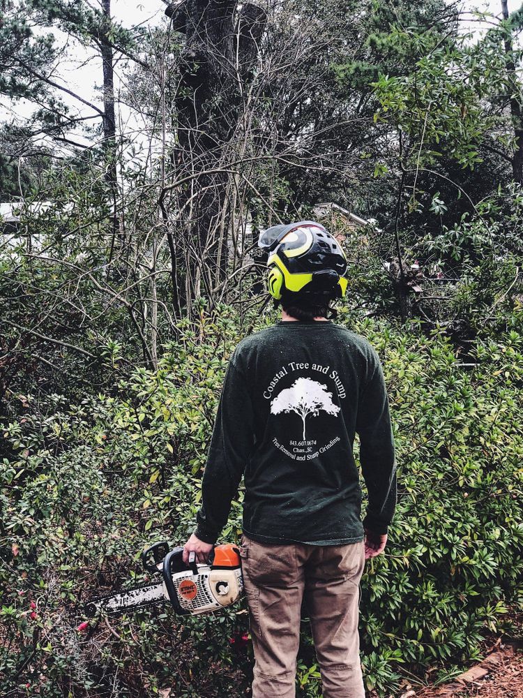 Tree Removal for Coastal Tree & Stump in Charleston, SC