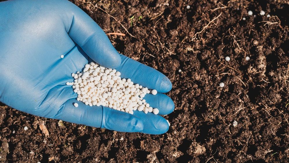 Our fertilization and pest control service boosts tree health by nourishing roots and effectively managing insects and diseases, ensuring your landscape stays vibrant, resilient, and beautiful year-round. for TLC Professional Tree Service in Bedford, TX