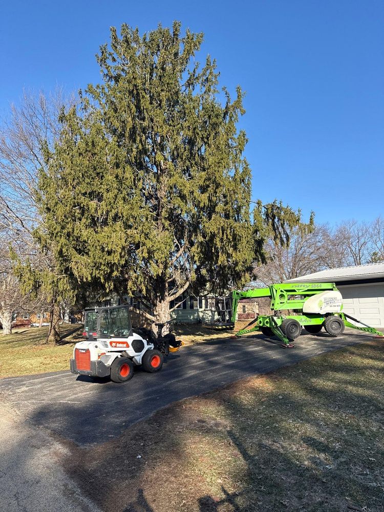 All Photos for Fransen's Tree Service  in Freeport, IL