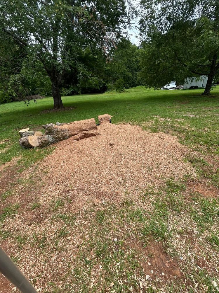 Land Clearing for Lanes Land Management in Fayetteville, TN