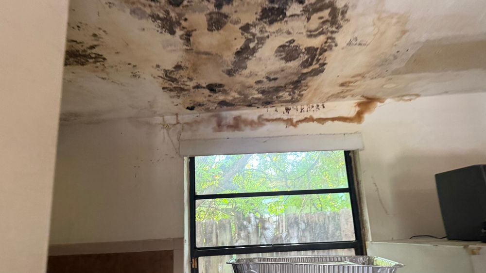 All Photos for Surplus Public Adjusters in Miami-Dade County, FL