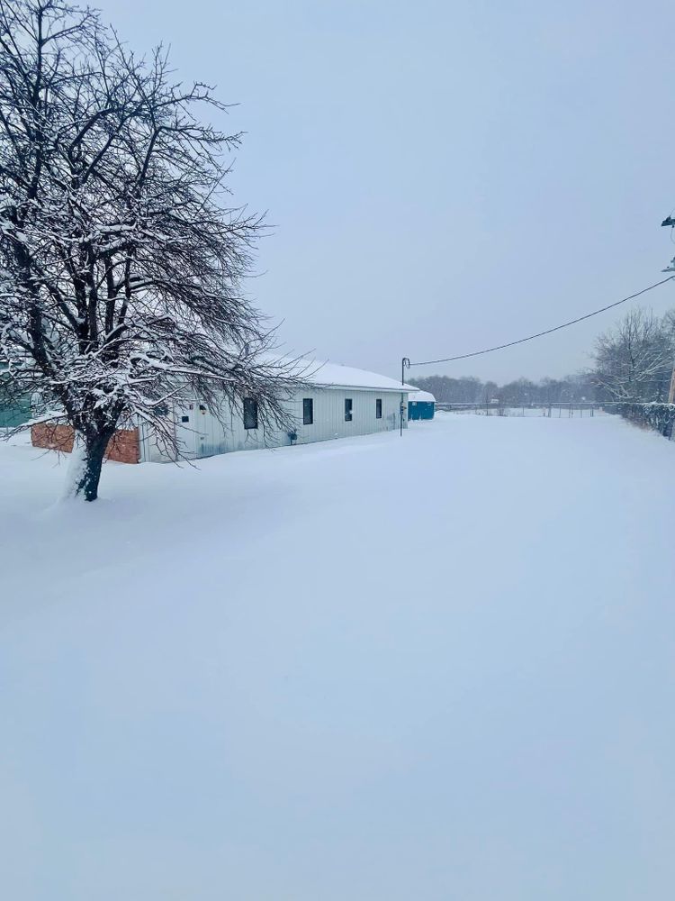 All Photos for K and Z Tree Care in Isanti County, MN