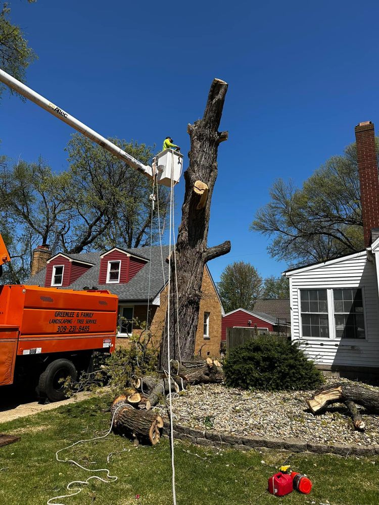 Tree Removal for Greenlee & Family Landscaping Services in Peoria, IL