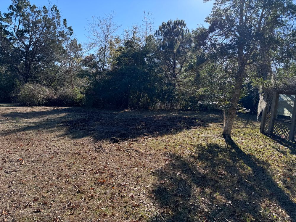 Brush Cutting for A&A Property Maintenance in Jacksonville, NC