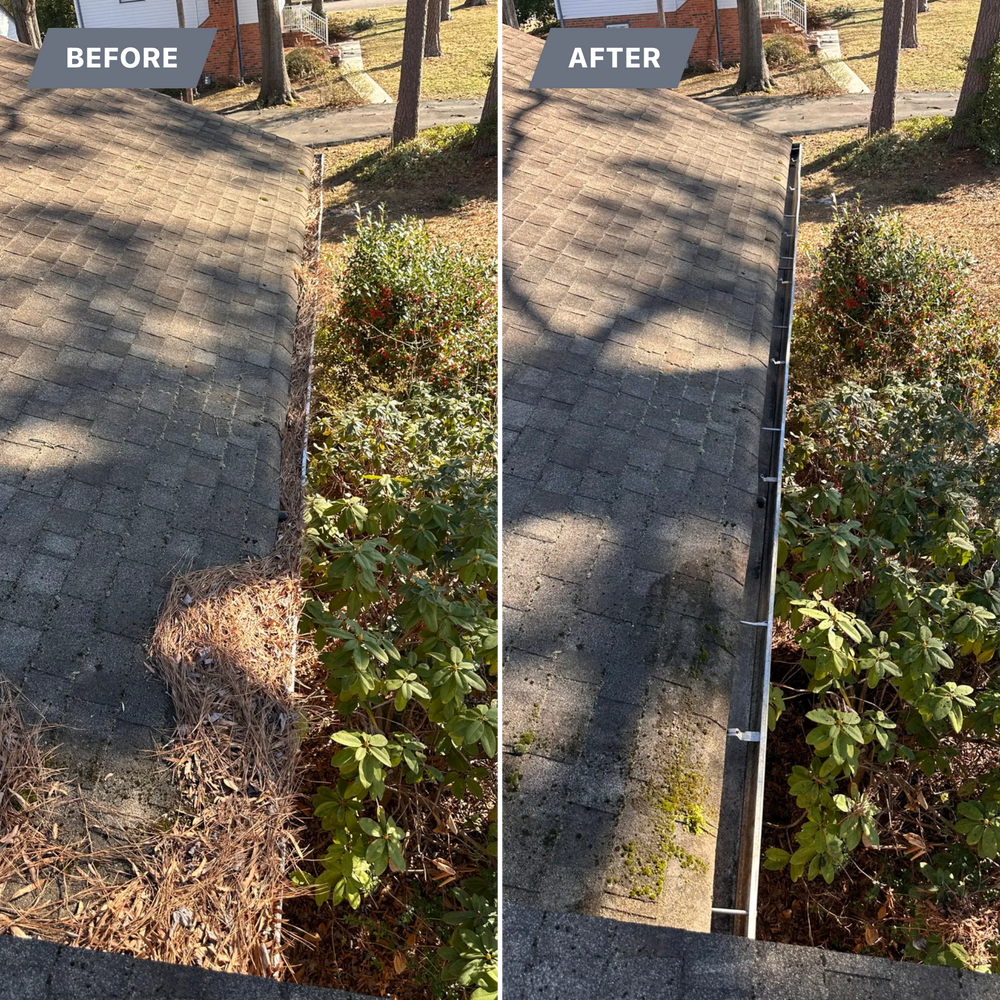 All Photos for LeafTide Solutions in Richmond, VA