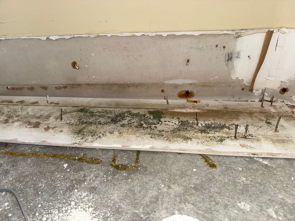 All Photos for N&D Restoration Services When Disaster Attacks, We Come In in Cape Coral,  FL