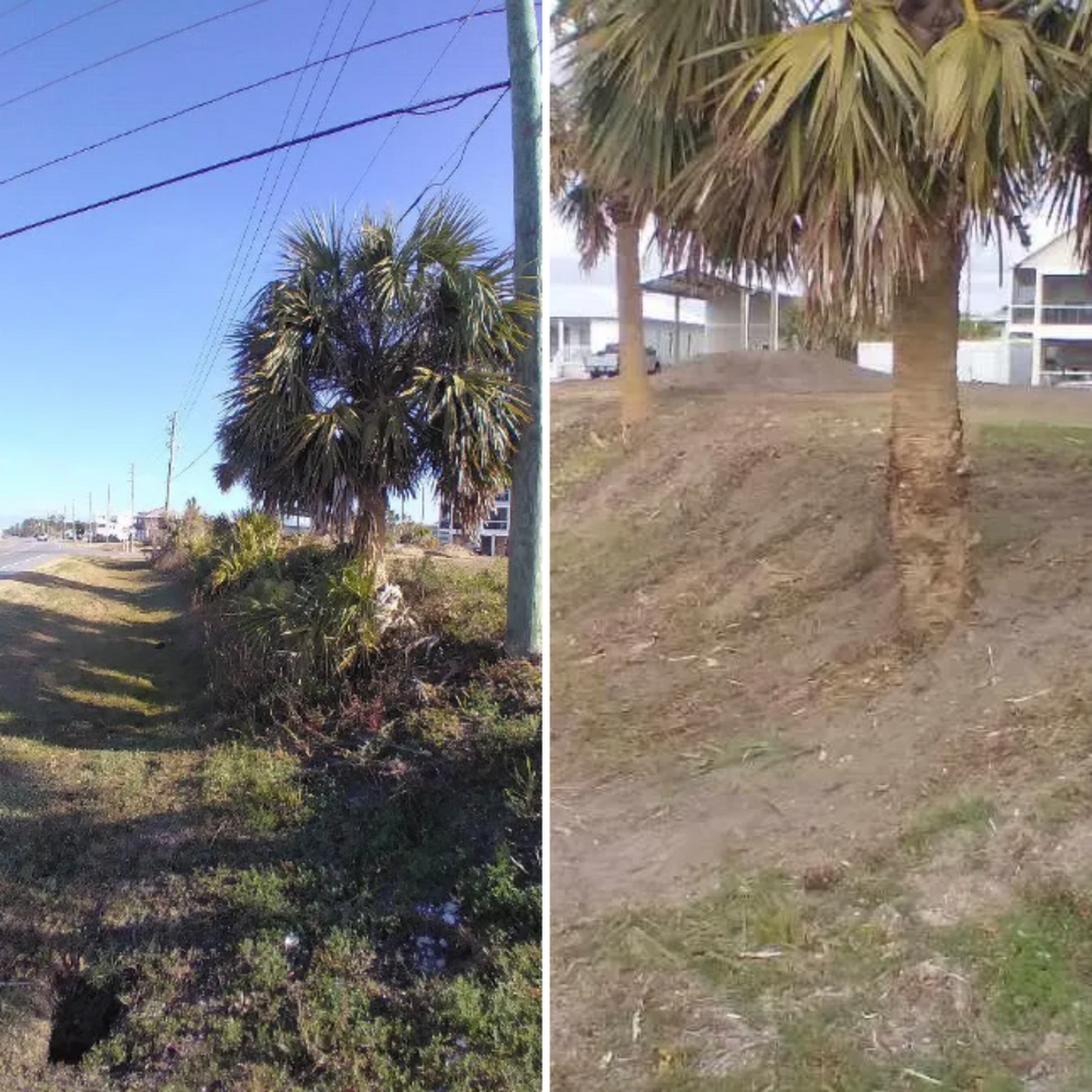 All Photos for Landrum’s Lawn & Tractor Services in Blountstown, FL