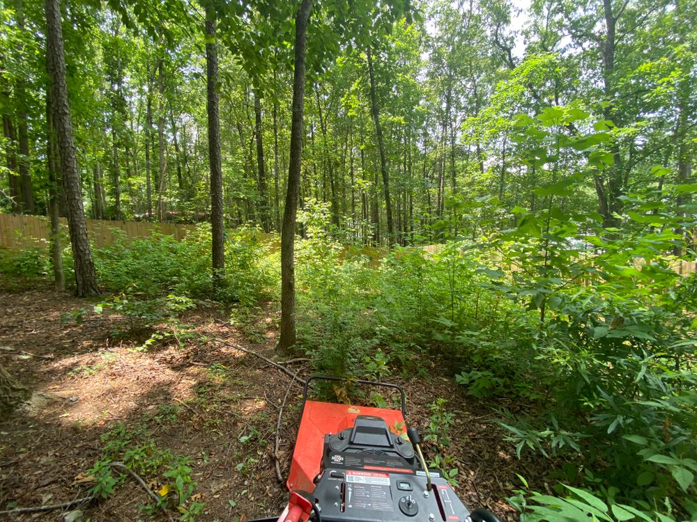 Our expert brush cutting service efficiently clears overgrown areas, enhancing your landscape's appearance and health. Trust our team for safe, precise removal that revitalizes your outdoor space with minimal hassle. for Deeply Rooted Lawn Installations - Sod Installation & Hydroseeding Services in Winder, GA