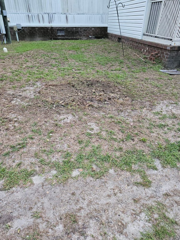 All Photos for Just Mow and Go Lawn Service in New Bern, NC