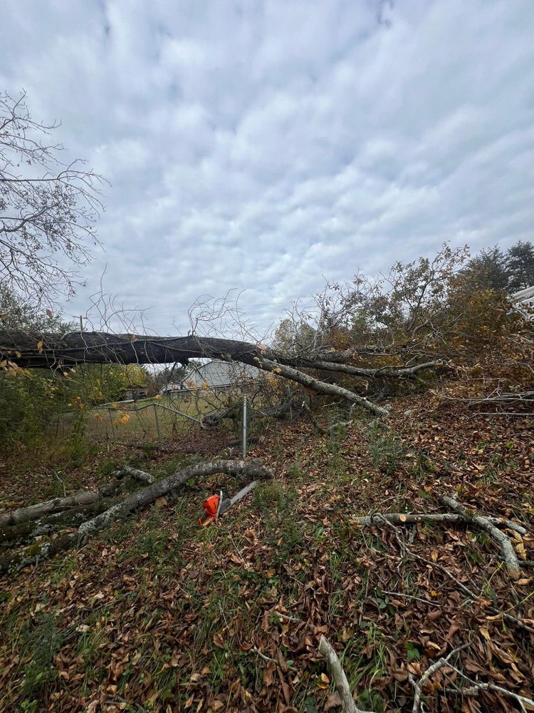 All Photos for Brooks Tree Service, LLC in Casar, NC