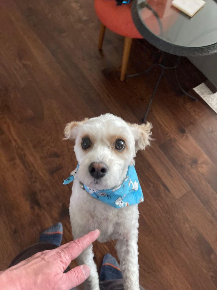 All Photos for Mr. Pipe Dreams LLC in Colorado Springs, CO