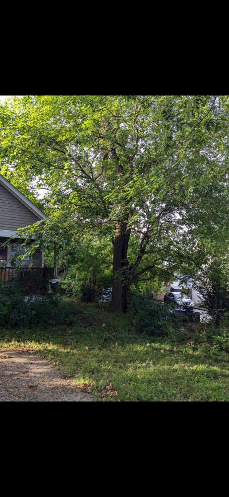 All Photos for G&M Property Service in Attleboro, MA
