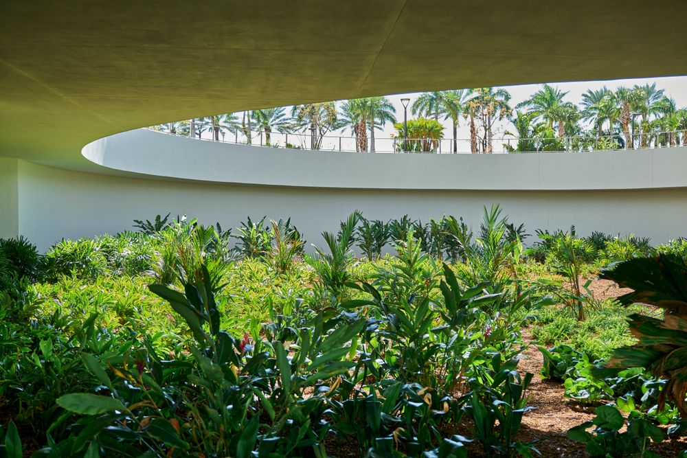 Landscape for Arazoza Brothers Corporation in Miami, FL