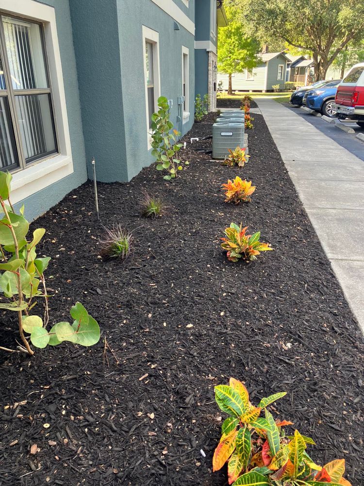 Our mulch installation service enhances your landscape by controlling weeds, retaining moisture, and improving soil health while adding a polished look to your garden beds. Transform your outdoor space effortlessly today! for Genesis Landscape Services in Spring Hill, FL