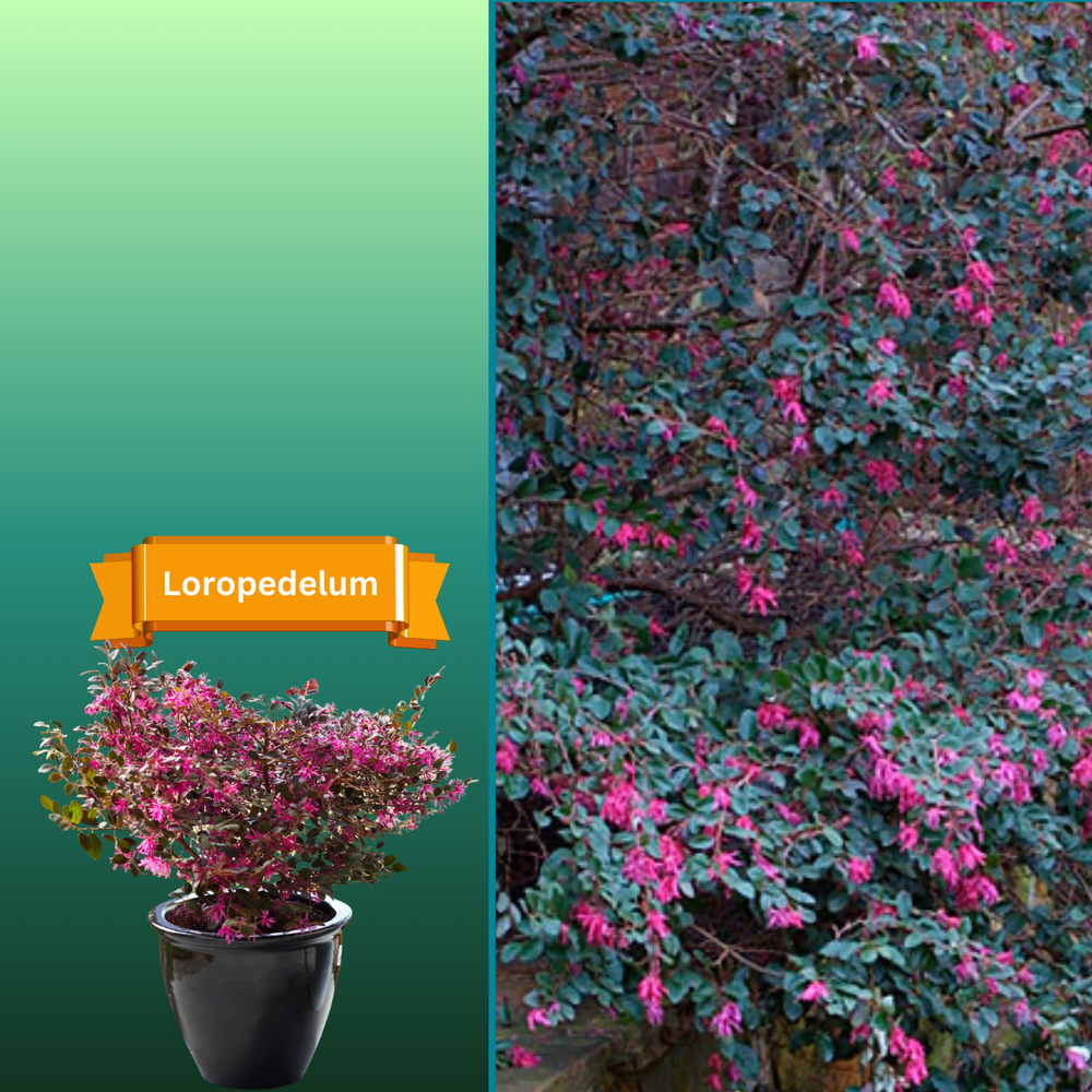 All Photos for R.B. & Company in Belleview, FL