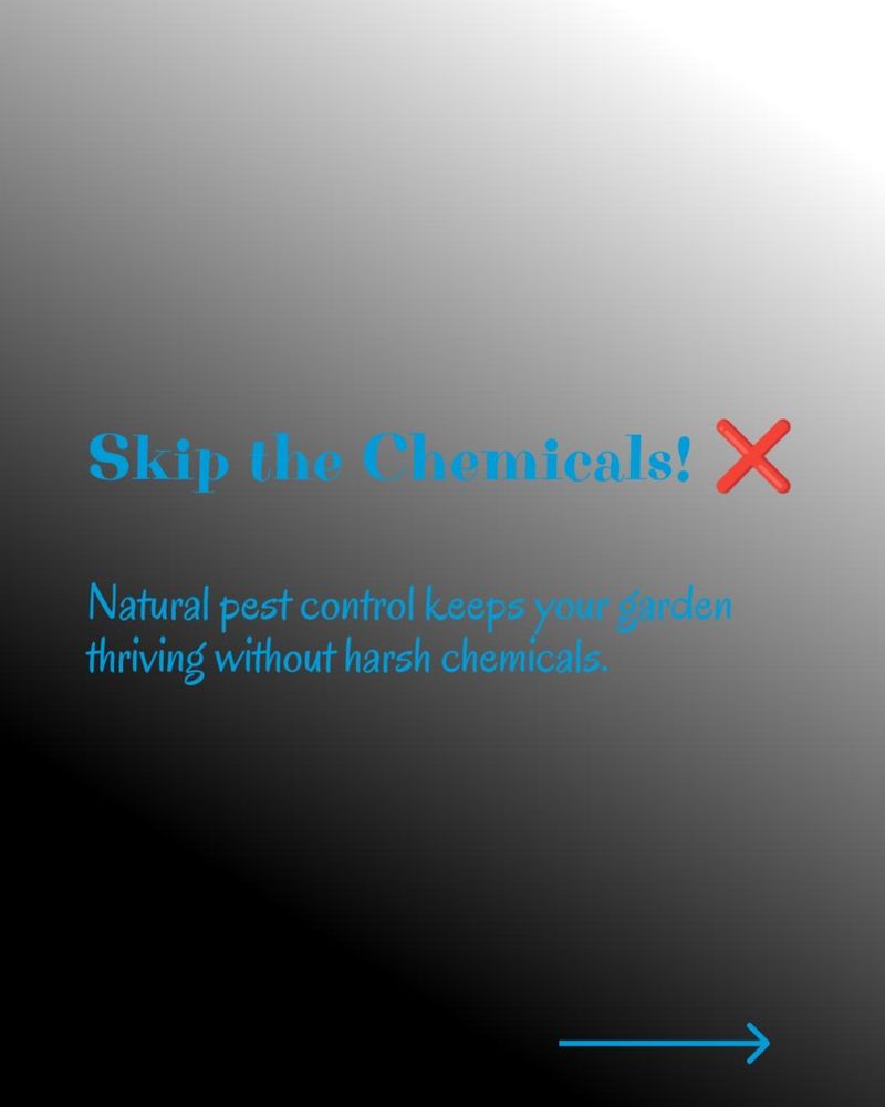 All Photos for Ludlows Services in Clermont, FL