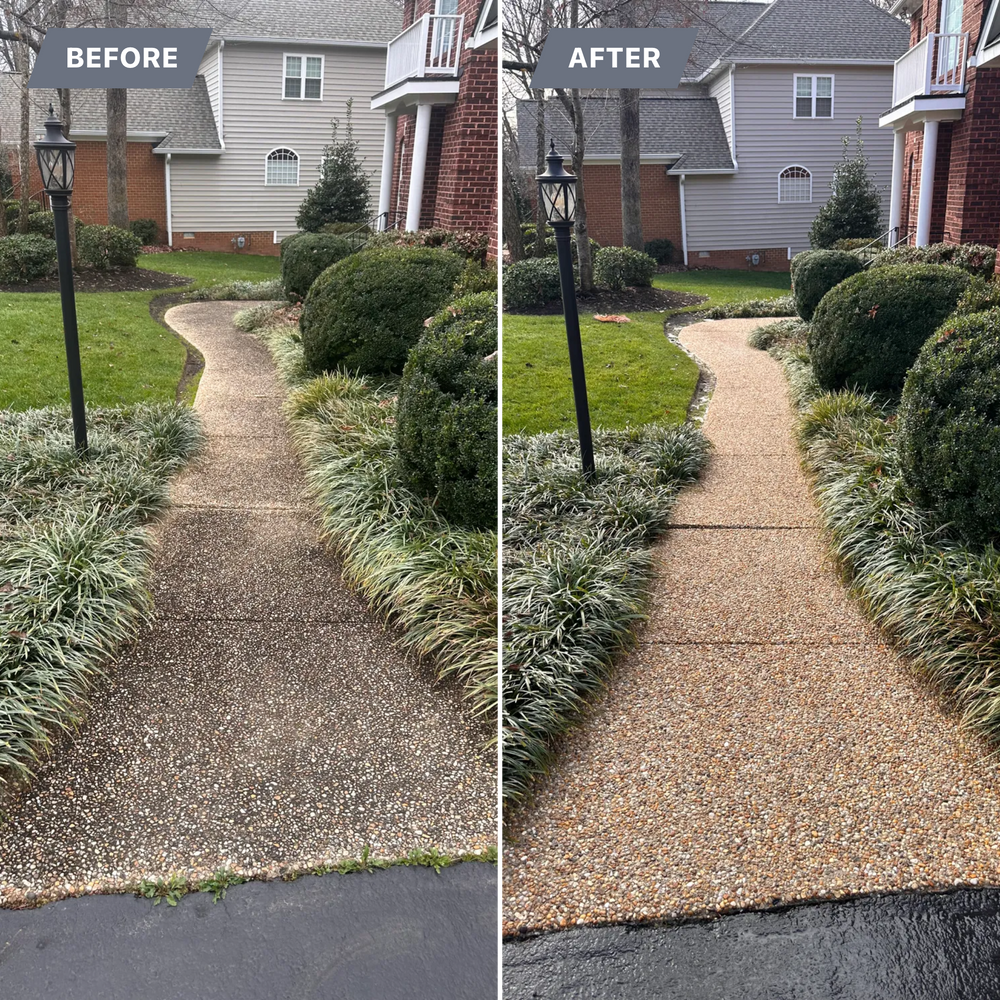 All Photos for LeafTide Solutions in Richmond, VA