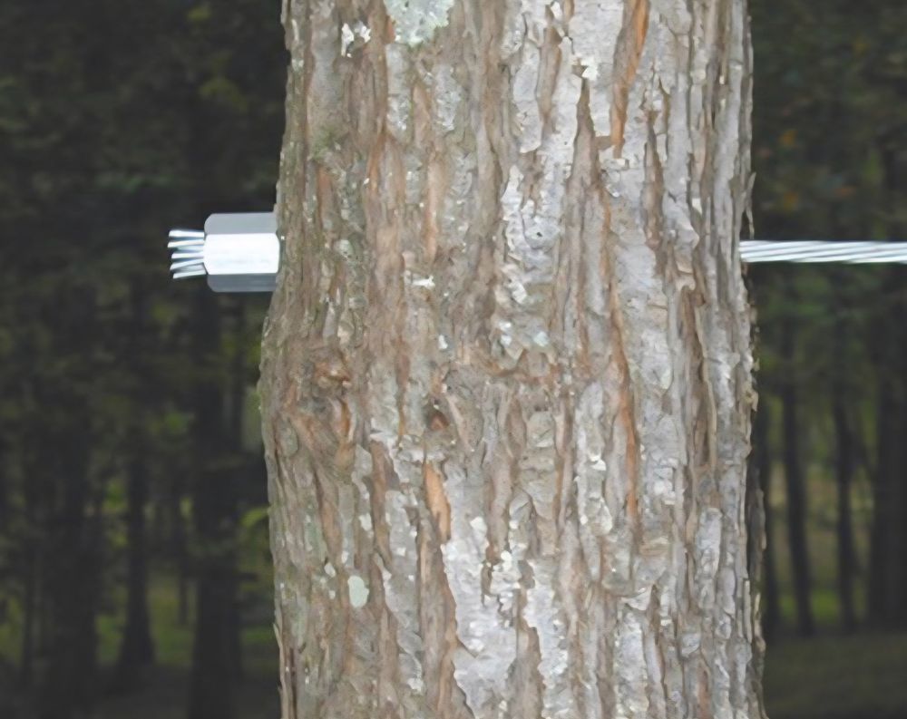 All Photos for Highborn Tree Service in Wheatfield, IN