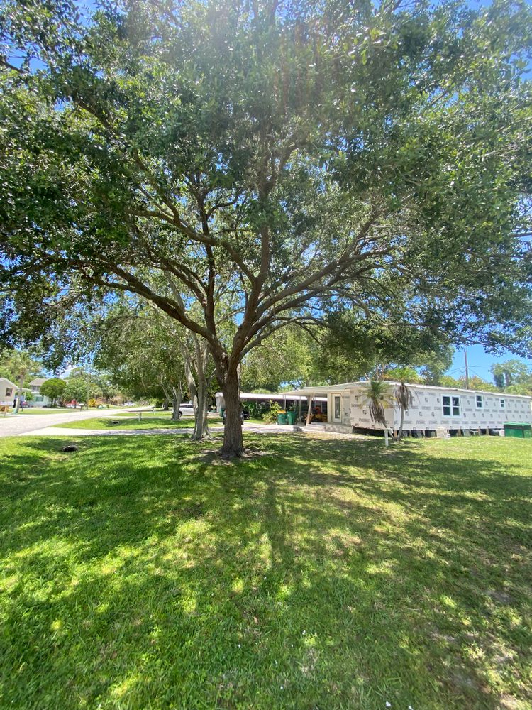 All Photos for MX Trees LLC in Englewood, FL