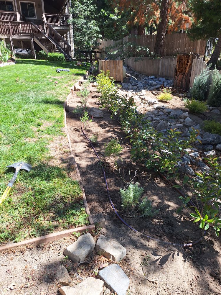 All Photos for Best Lawncare in Colton, CA