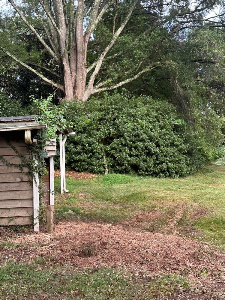 Tree Removal for Moore’s Tree Service in Chesnee, SC