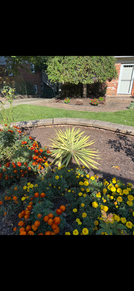 All Photos for R Merkli Inc. in Mount Vernon , VA