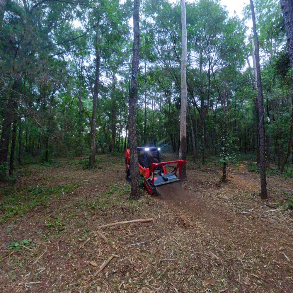 All Photos for Family Roots Landworks and Debris Removal in Newberry, FL